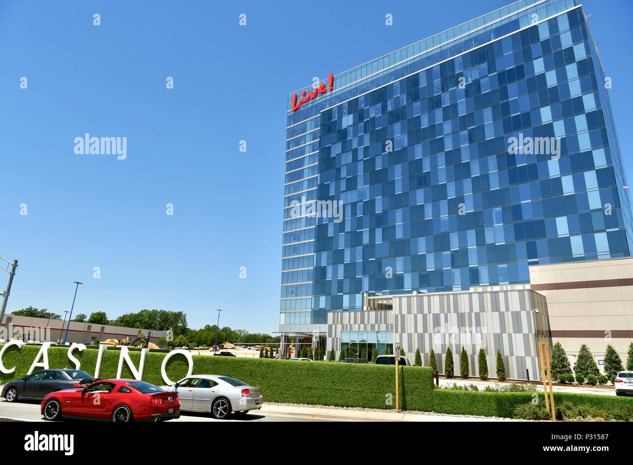 Live Casino